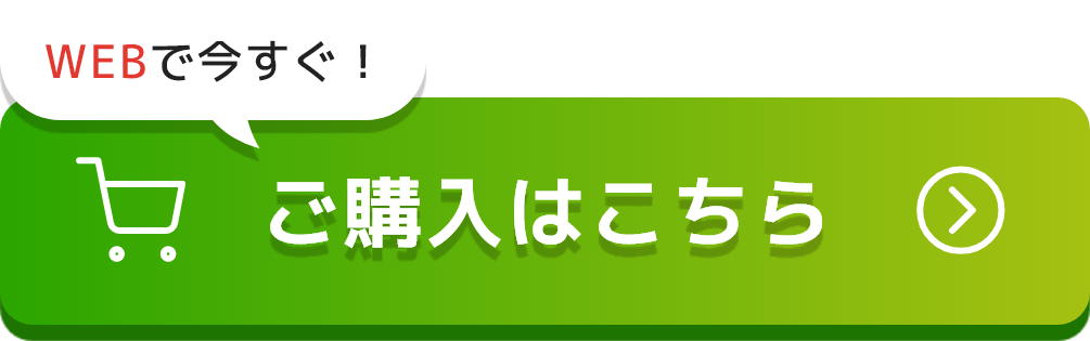 ご購入はこちら